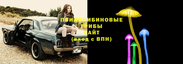 кокс Аркадак