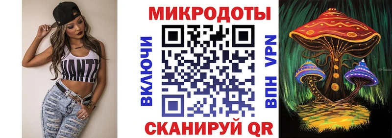 дарк нет как зайти  Горняк  Псилоцибиновые грибы GOLDEN TEACHER 